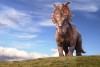 Pe urmele dinozaurilor 3D